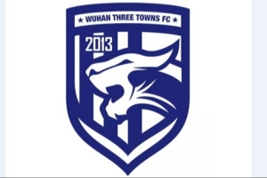 武漢足管中心主任：武漢三鎮(zhèn)正推進股改事宜，已做好凈資調(diào)查工作