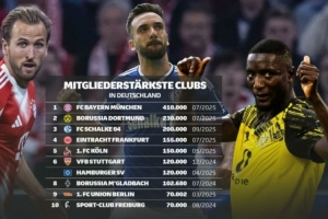 德國俱樂部注冊會員數量榜：拜仁41萬居首，多特、沙爾克二三位