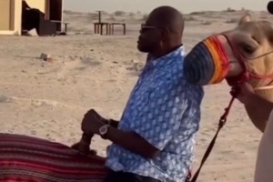 與阿努諾比&尤因&阿蘭-休斯頓騎駱駝 馬布里：你們猜它累不累