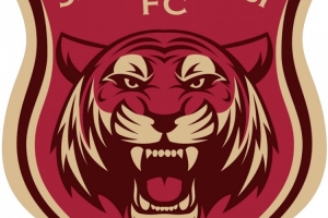 嘉定匯龍官方：截至上輪，足協評議共三次漏判給本隊點球 ???