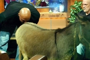 楊毅：巴克利說姚明19分他就親驢屁股 后者說那他每場18分就好了