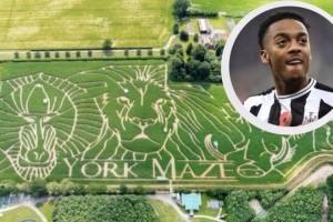 紐卡中場威洛克在迷宮迷路？埃迪-豪否認：謝天謝地，這不是真的