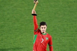 世青賽獎項：瑪瑪金球、扎比里銀球、德爾加多銅球，巴比金手套