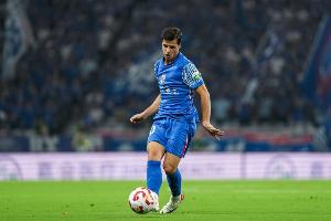 疑似吐口水！大連英博球迷呼吁俱樂部上訴申花外援特謝拉