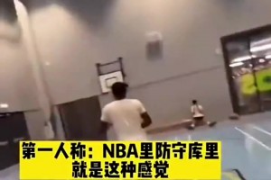 網(wǎng)友惡搞：第一人稱視角，在NBA防庫(kù)里大概就是這種感覺！