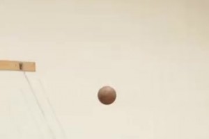 不要和約基奇賭馬！即使是和吉祥物比！