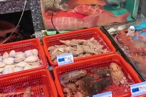 快活啊朱總！這一餐至少也得2、300吧？兄弟們