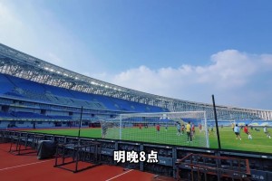 申花賽前：路易斯已具備登場條件，申花力爭客場三分!