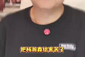 蘇群：“未來籃球”把楊瀚森給害了，現在很多球隊根本都不打擋拆